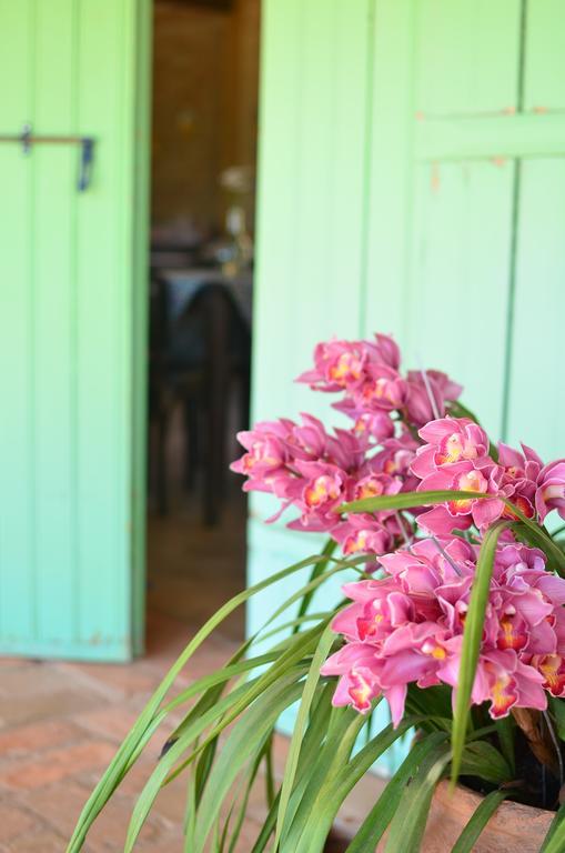 Отель Cafezal Em Flor Turismo E Cafes Especiais Монти-Алегри-ду-Сул Экстерьер фото
